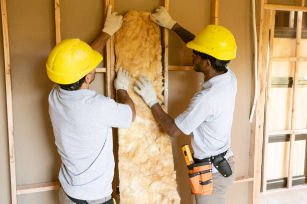 Eco-Friendly Insulation Solutions in Boronda, CA